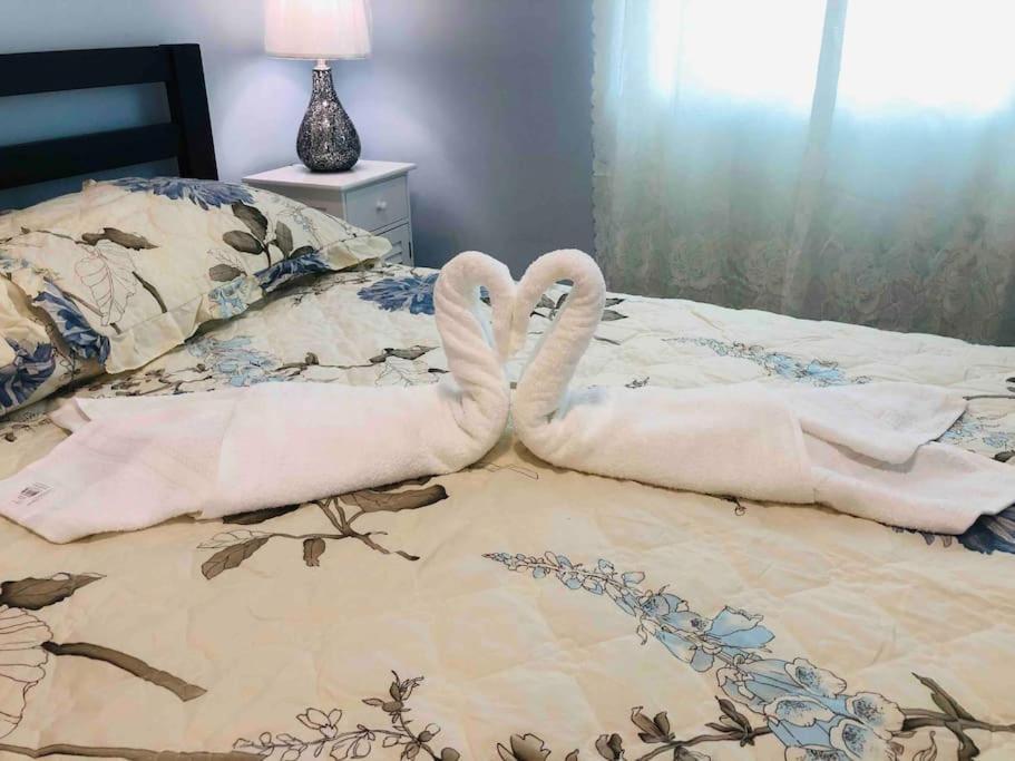 New Luxurious Studio Private In The Heart Of 迈阿密 外观 照片